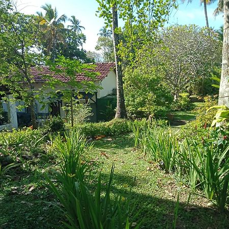 Hotel Freedom192 Weligama Exterior foto