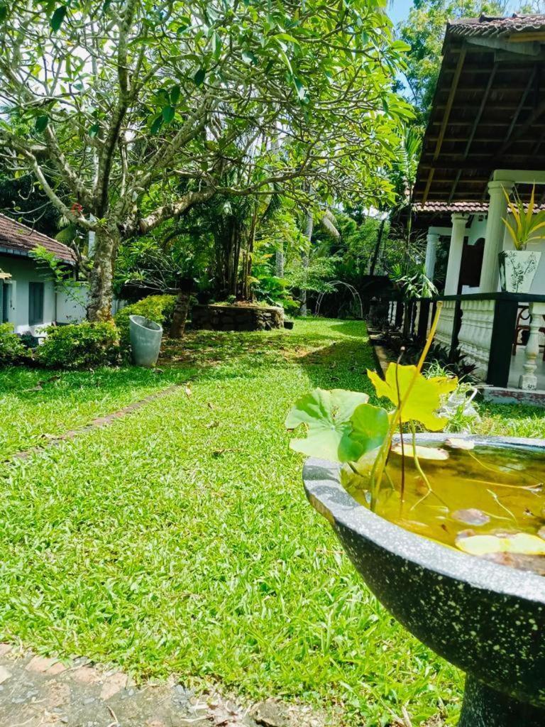 Hotel Freedom192 Weligama Exterior foto