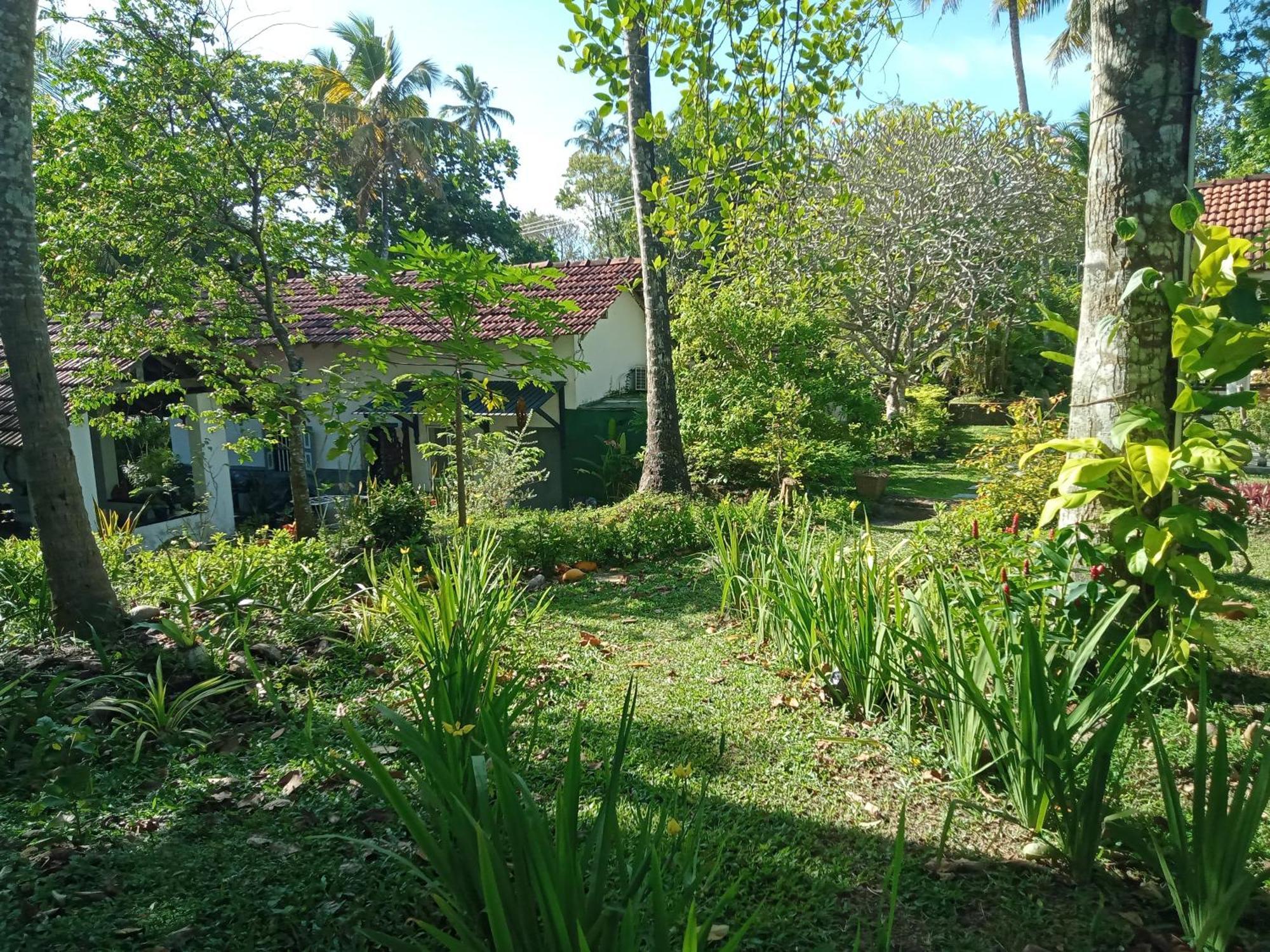 Hotel Freedom192 Weligama Exterior foto