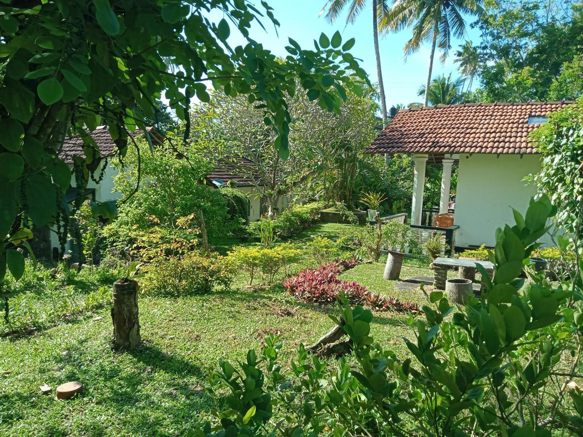 Hotel Freedom192 Weligama Exterior foto